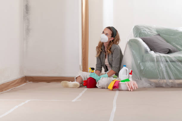 Reliable Mold Removal contractor in Hacksneck, VA by WQB Mold Removal